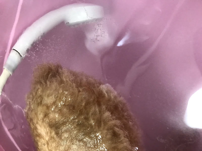 �Y�_����ĉ��H